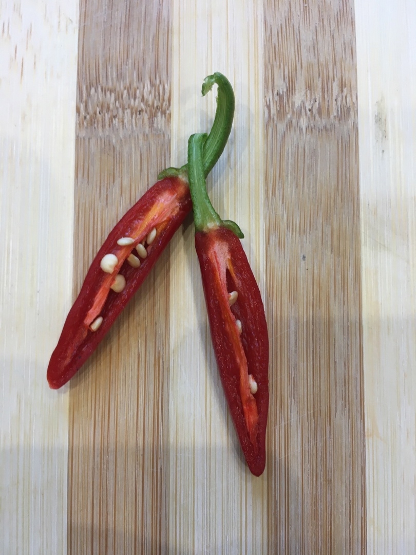 Что вырастает из семян острого перца Jalapeno Mutant - фото 5