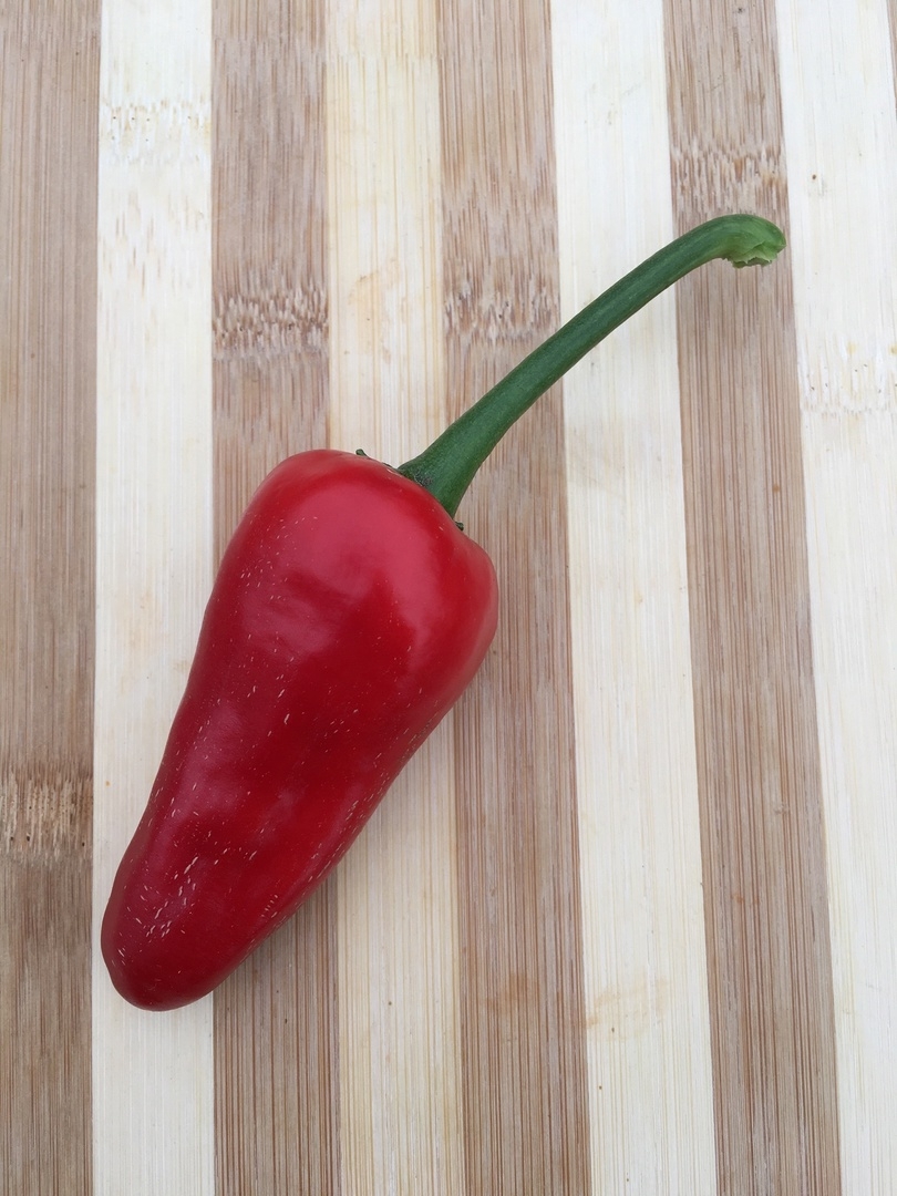 Сорт острого перца Jalapeno El Jefe - фото 3