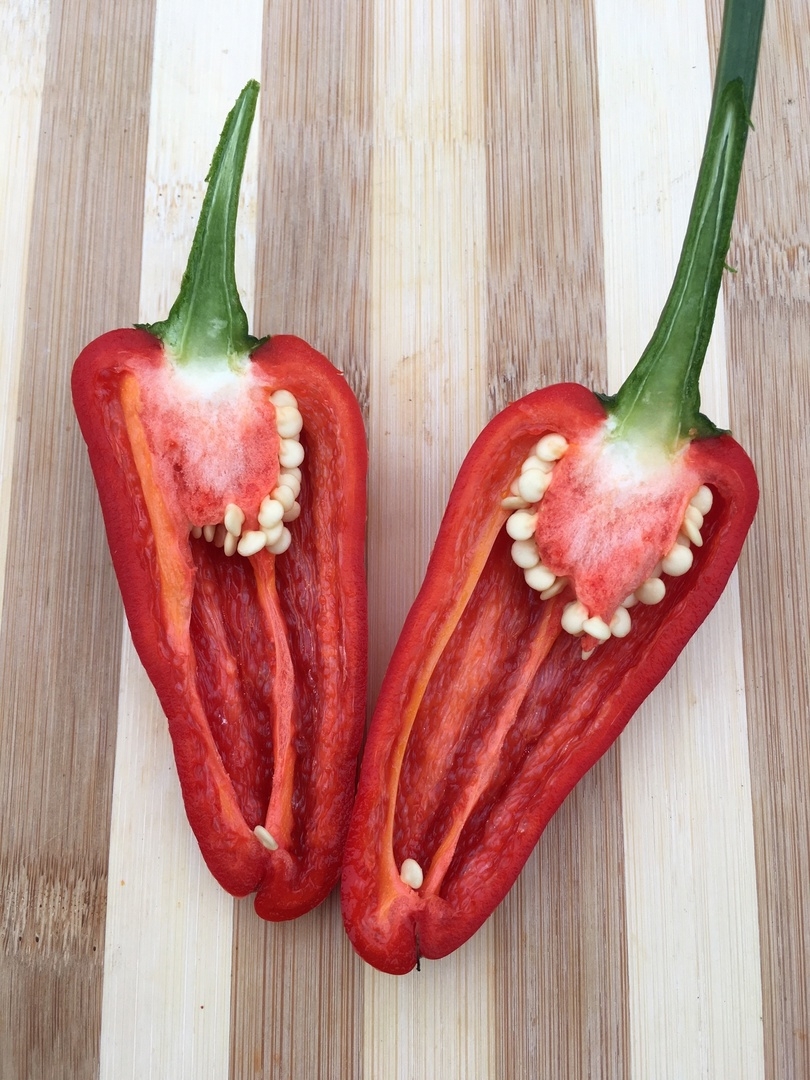 Плоды острого перца Jalapeno El Jefe - фото 4