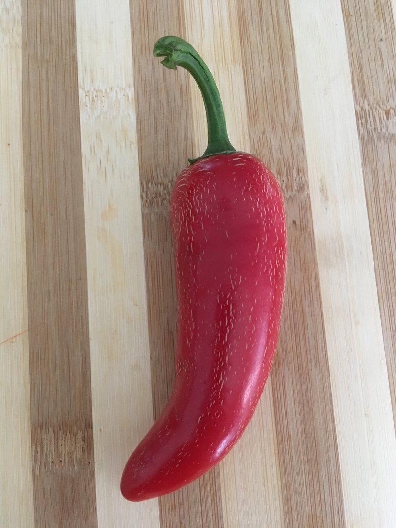 Сорт острого перца Jalapeno Jalafuego - фото 3