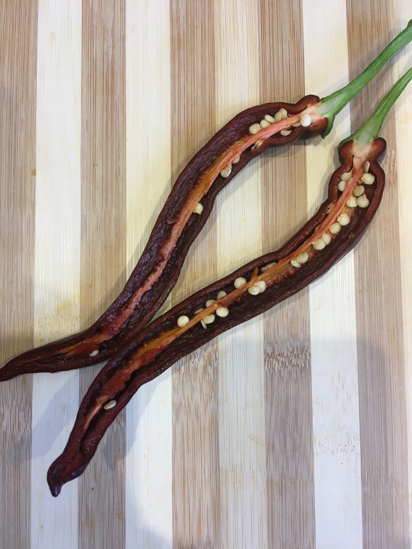 Сорт острого перца Thunder choco brown - фото 3