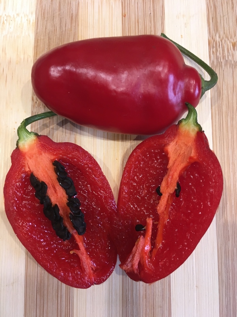 Сорт острого перца Rocoto Gondol - фото 3