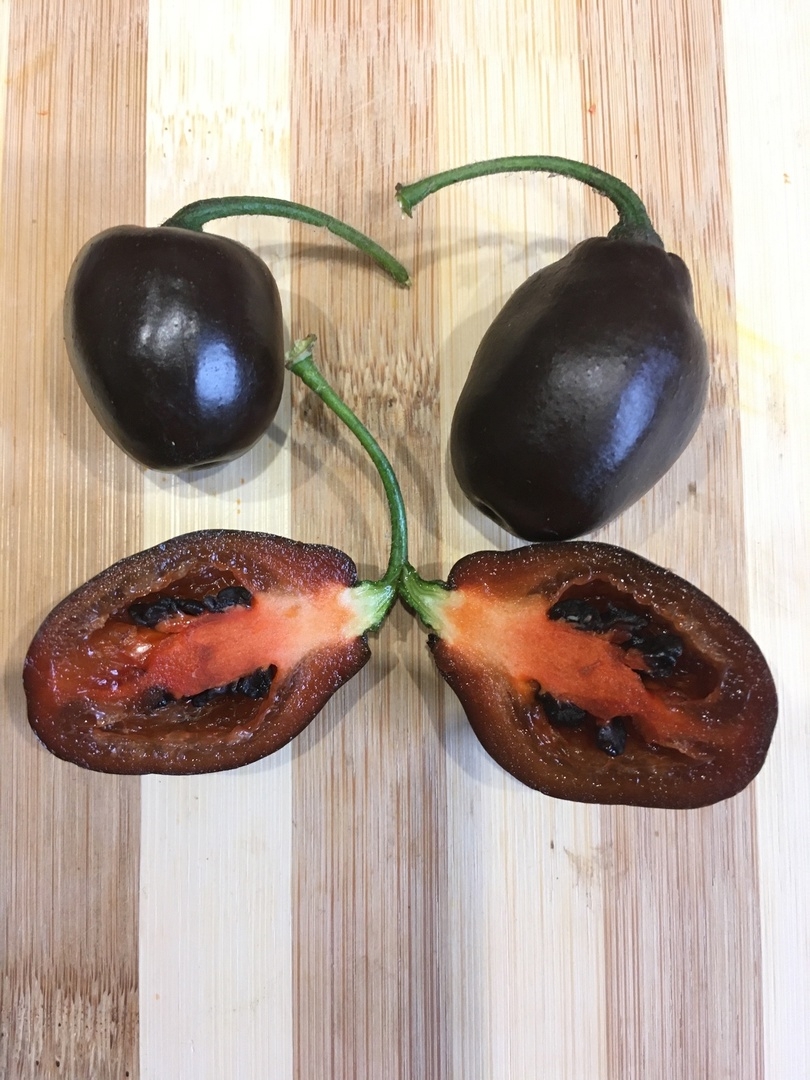 Выращивание острого перца Mini Rocoto Brown - фото 2