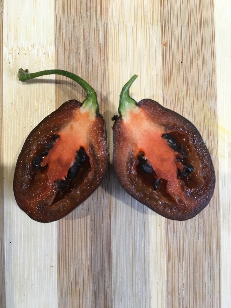 Сорт острого перца Mini Rocoto Brown - фото 3