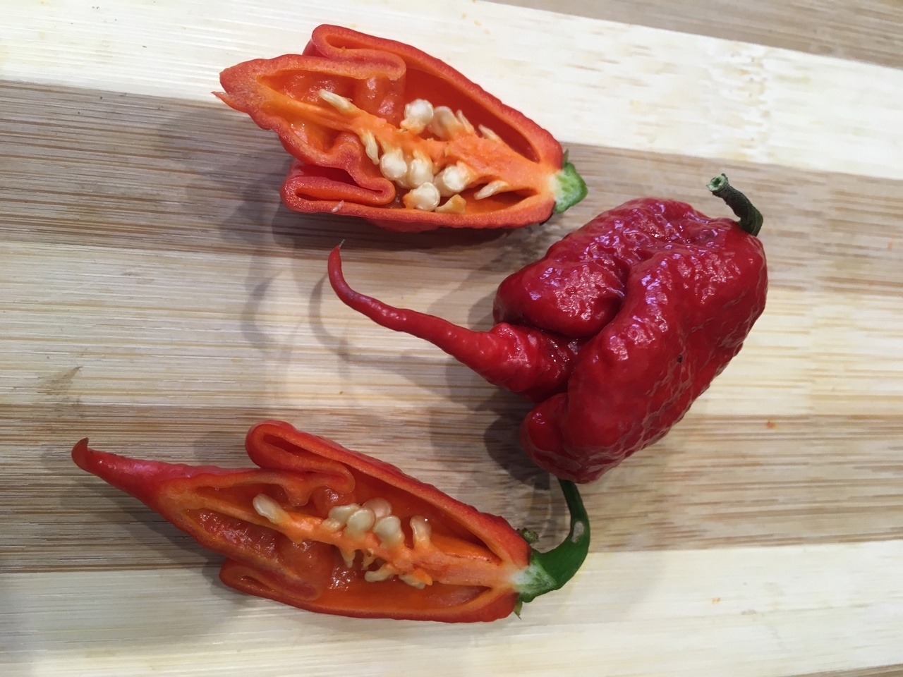 Выращивание острого перца The Beast - фото 2