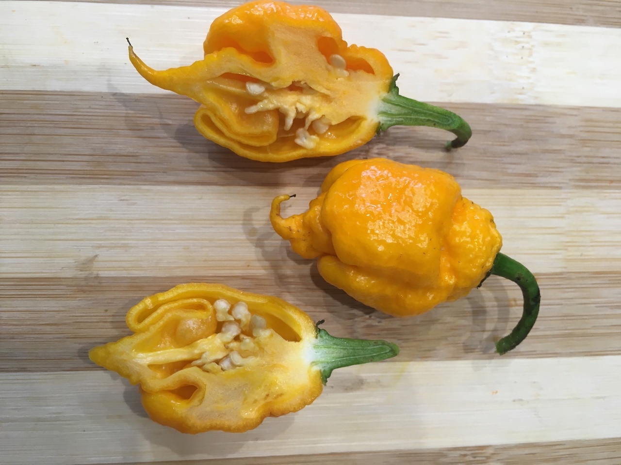 Выращивание острого перца The Beast Yellow - фото 2