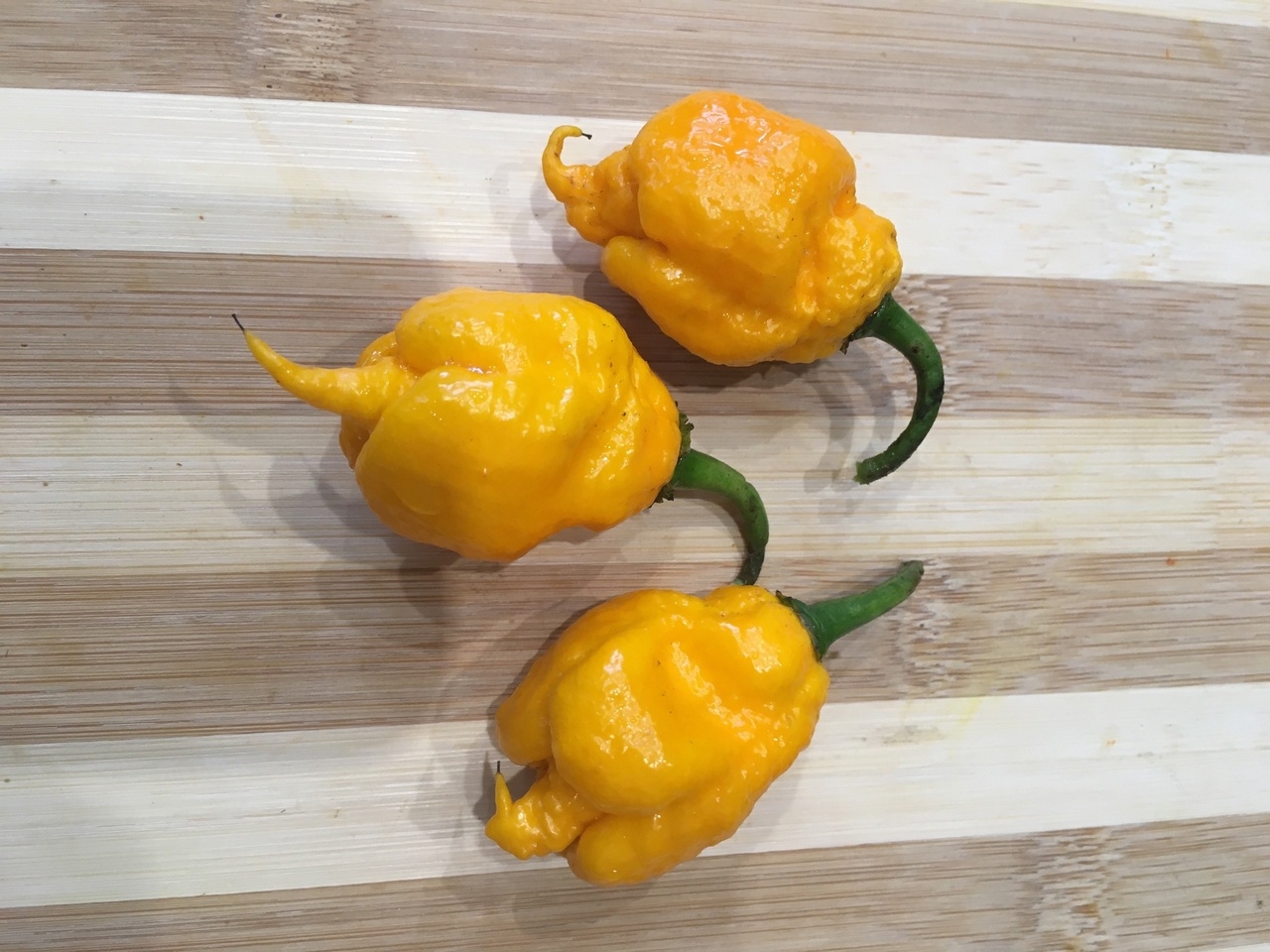 Плоды острого перца The Beast Yellow - фото 4