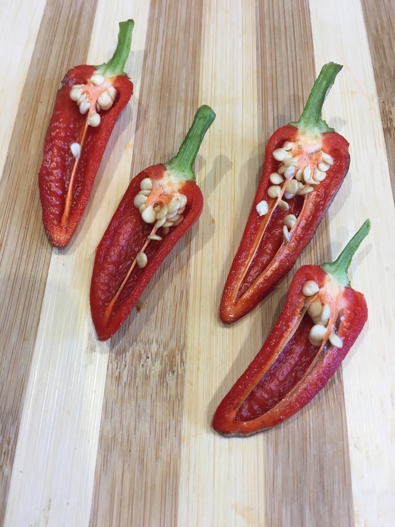 Выращивание острого перца Пурпурный - фото 2