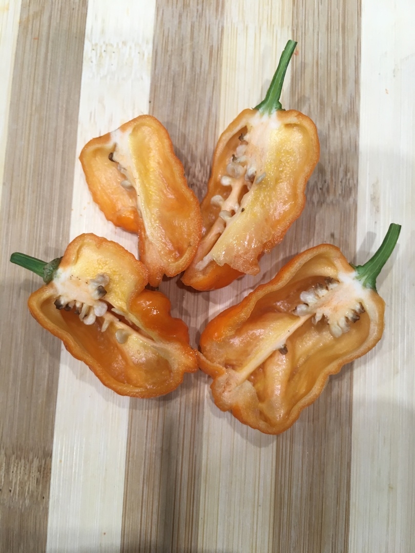 Сорт острого перца Семена острого переца Bhut Orange Copenhagen - фото 3