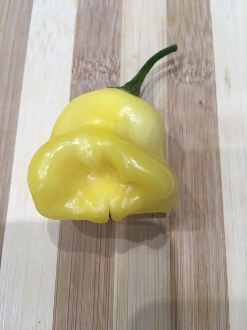 Плоды острого перца Aji Fantasy - фото 4