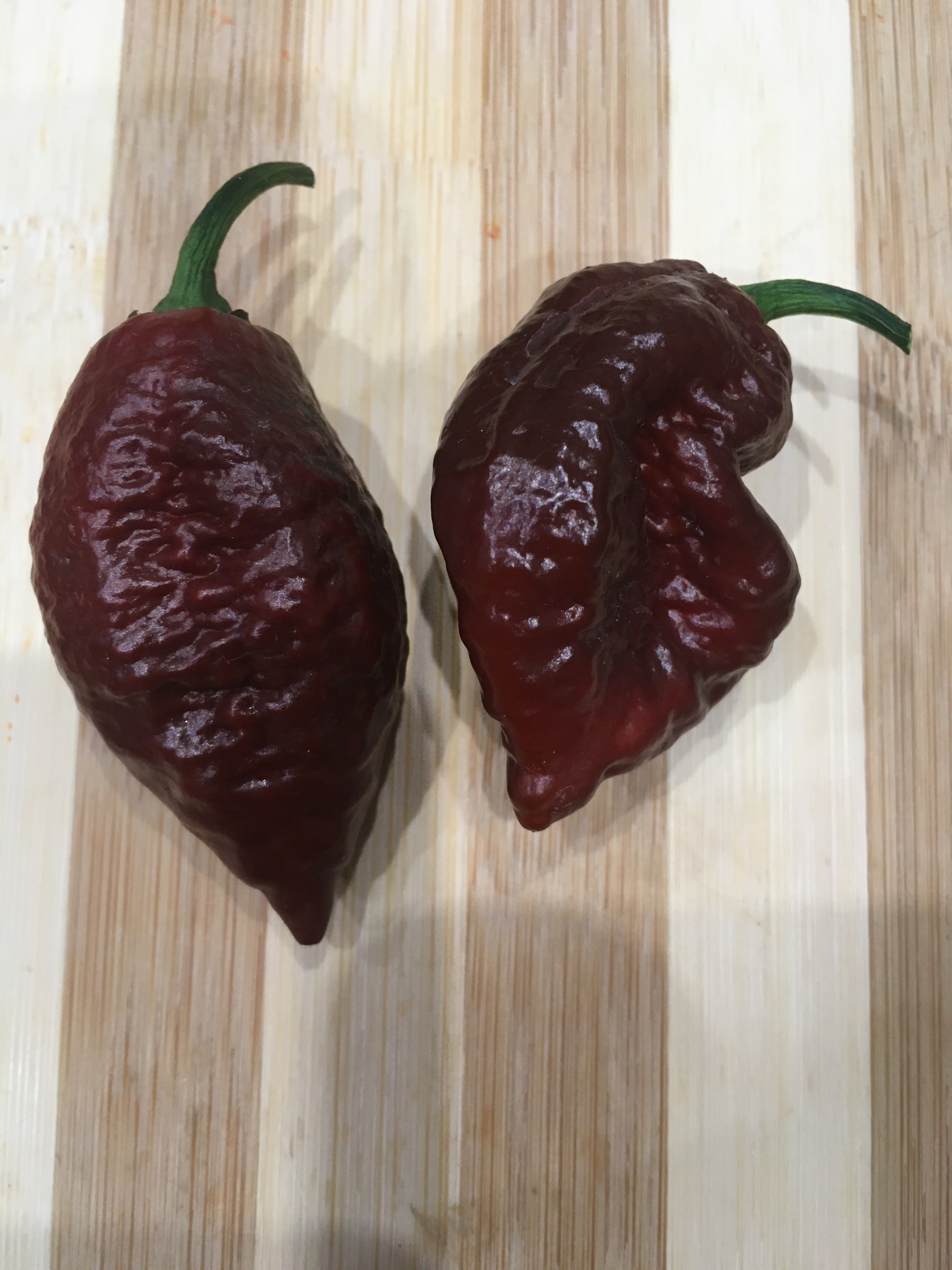 Сорт острого перца Big Black Mama - фото 3