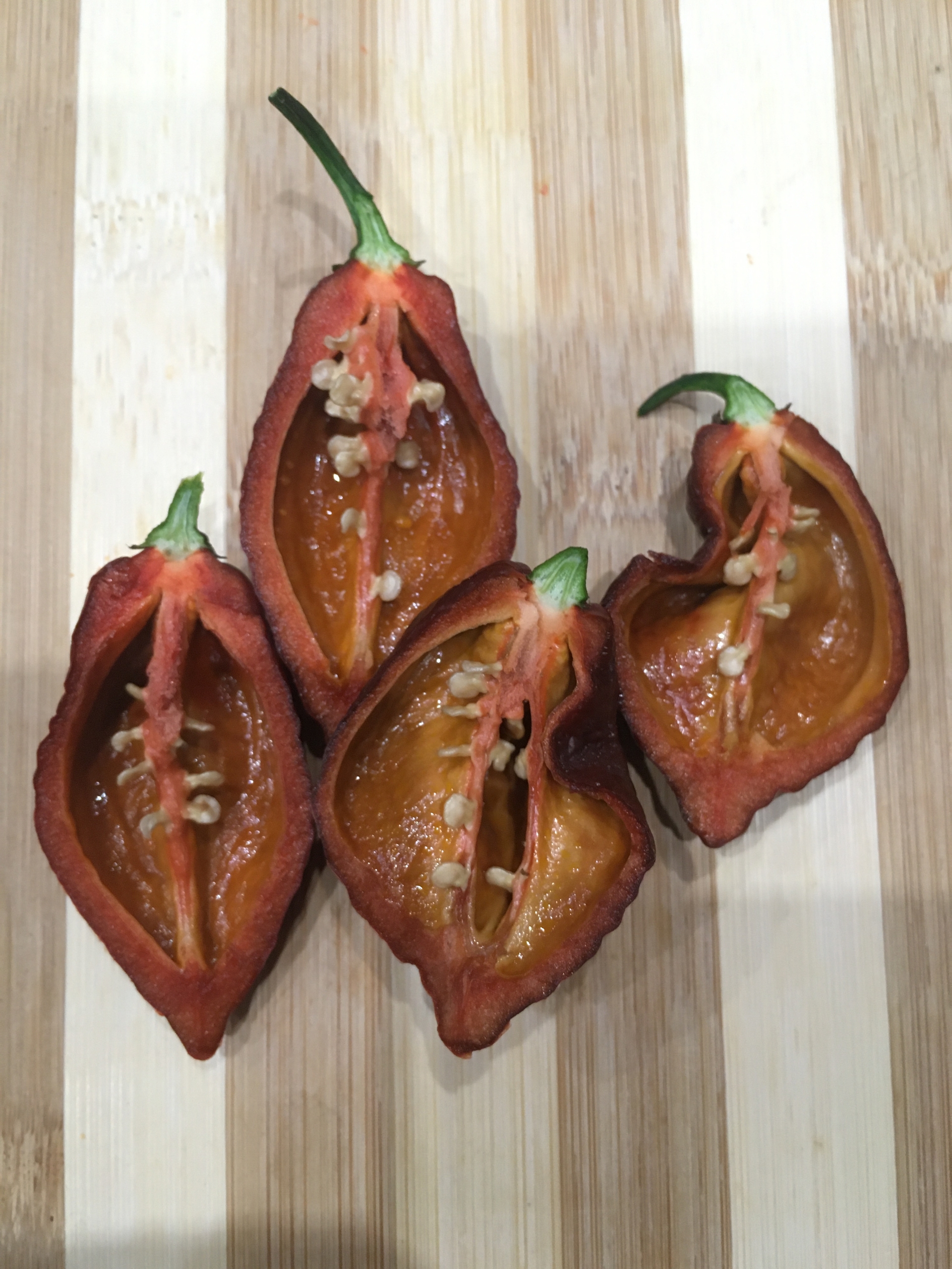 Что вырастает из семян острого перца Big Black Mama - фото 5