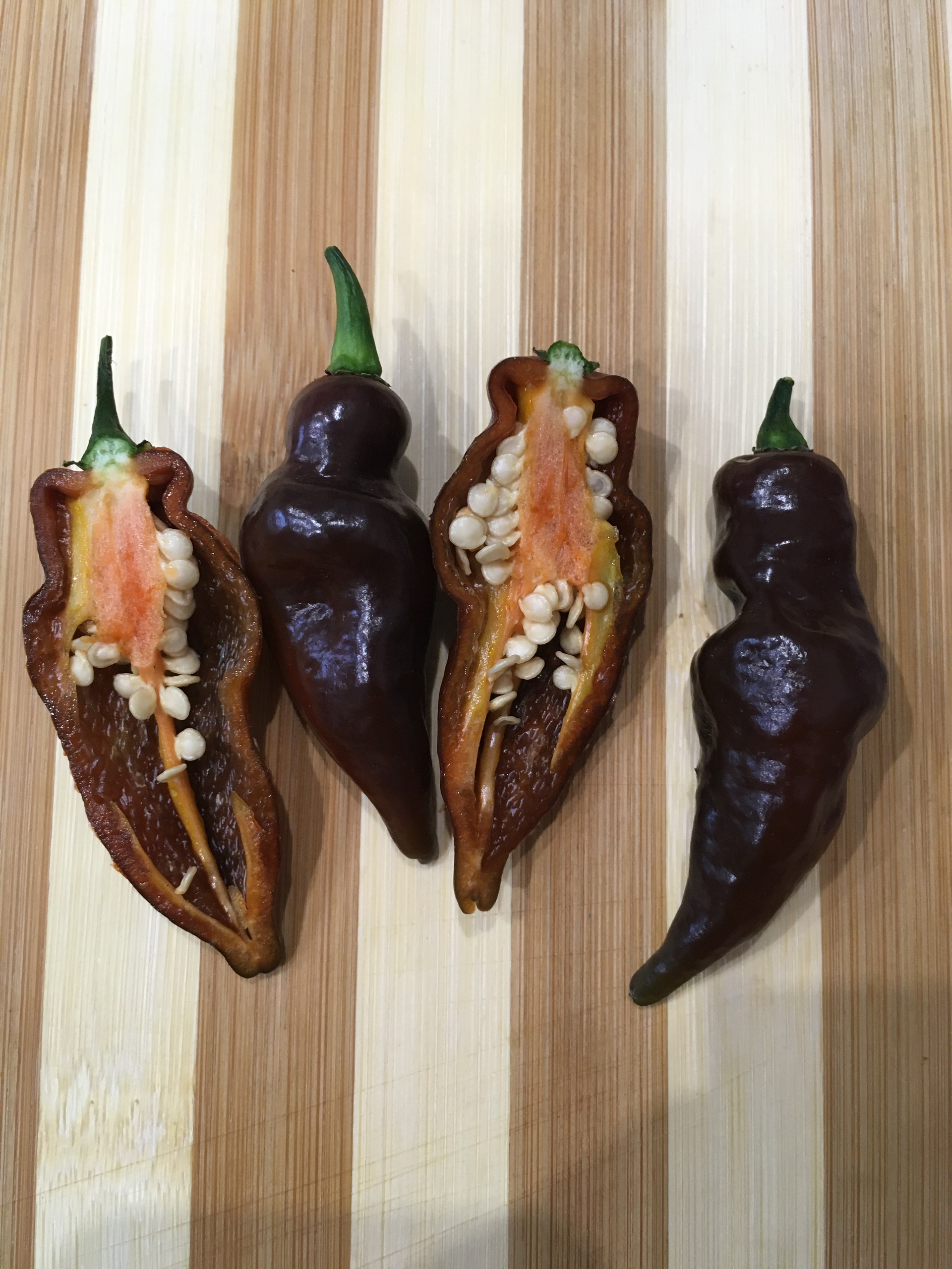 Плоды острого перца SBS Chocolate Demon Habanero - фото 4