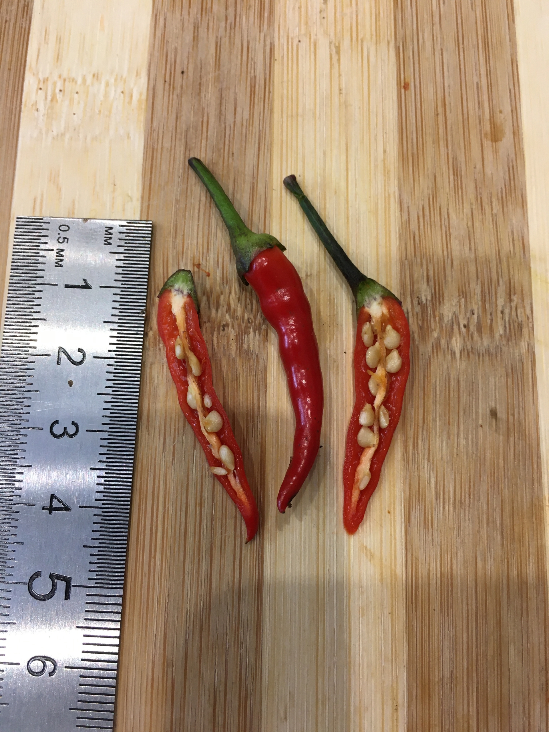 Сорт острого перца Maui Purple Multicolor - фото 3