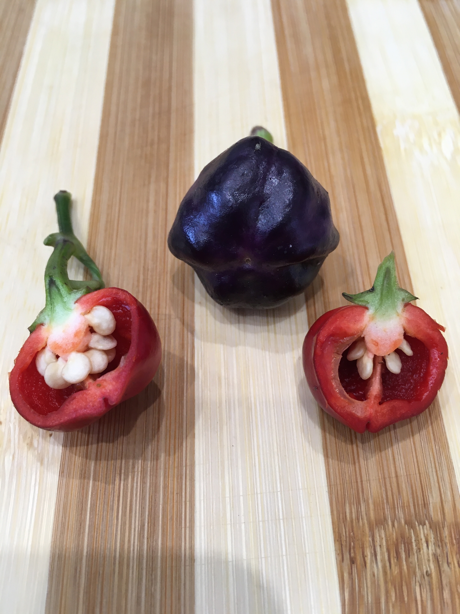 Сорт острого перца Purple Pumpkin - фото 3