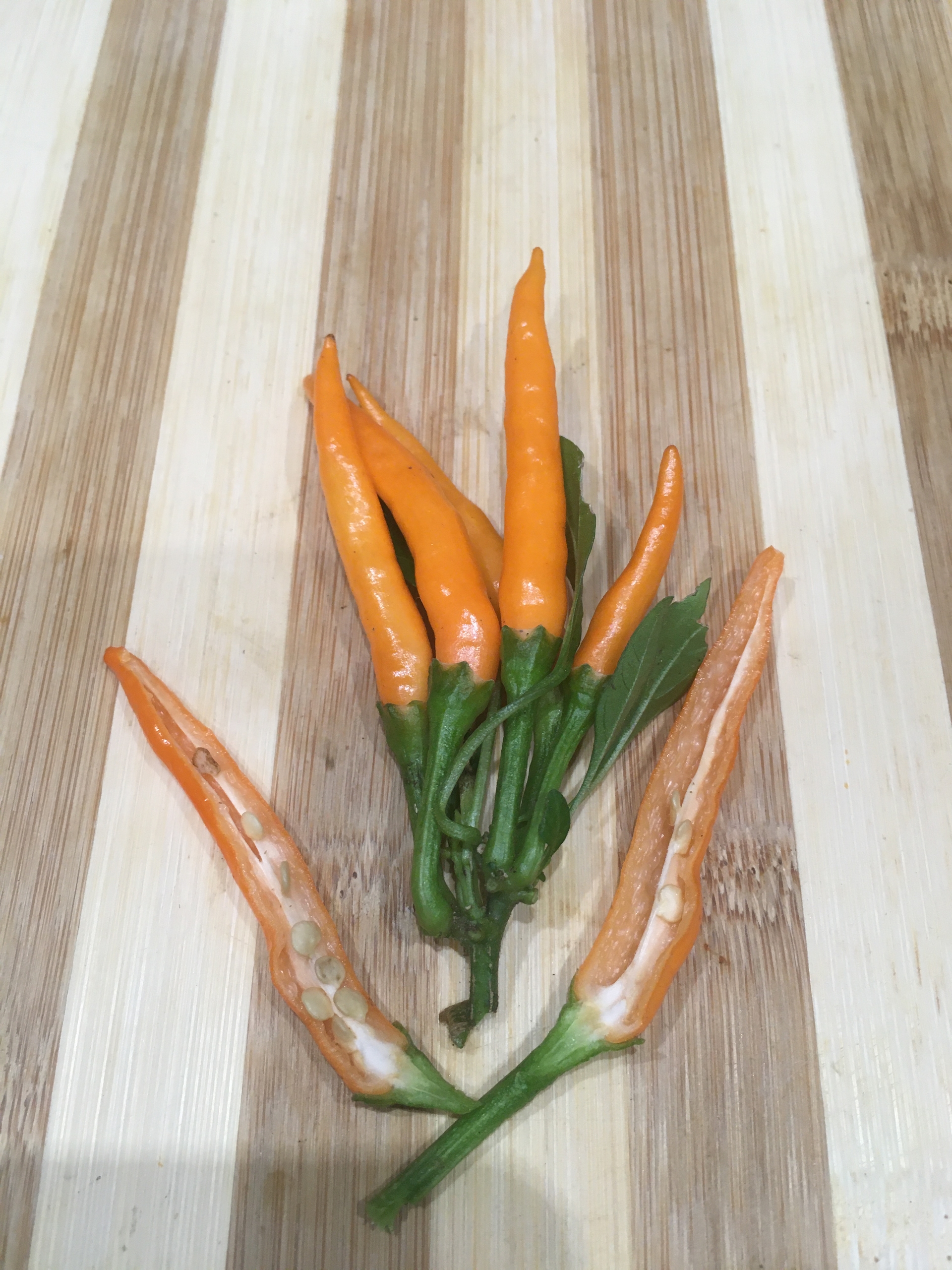 Плоды острого перца Bunny joy - фото 4