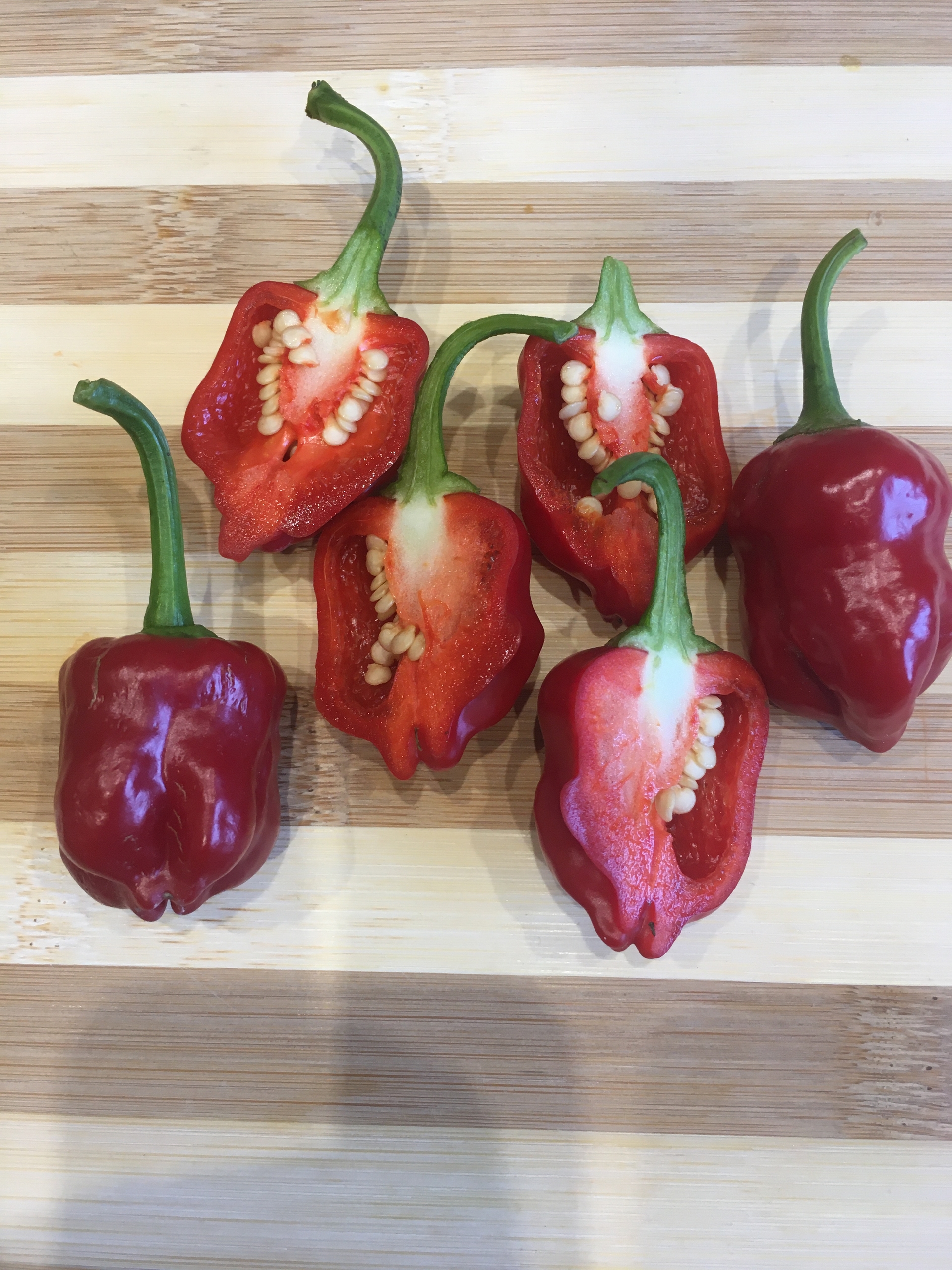 Плоды острого перца PI 439410 - фото 4