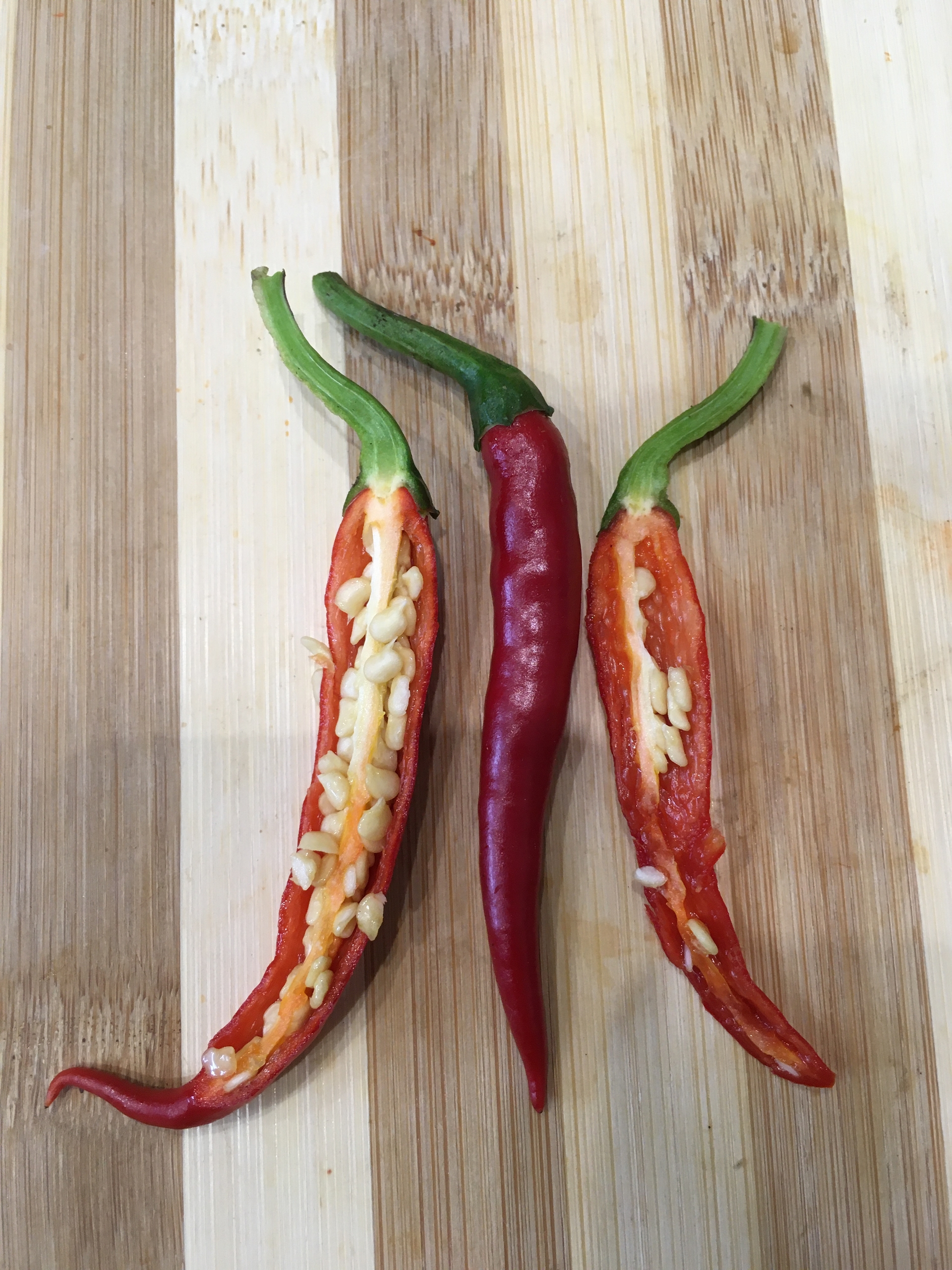 Выращивание острого перца Thai dragon - фото 2