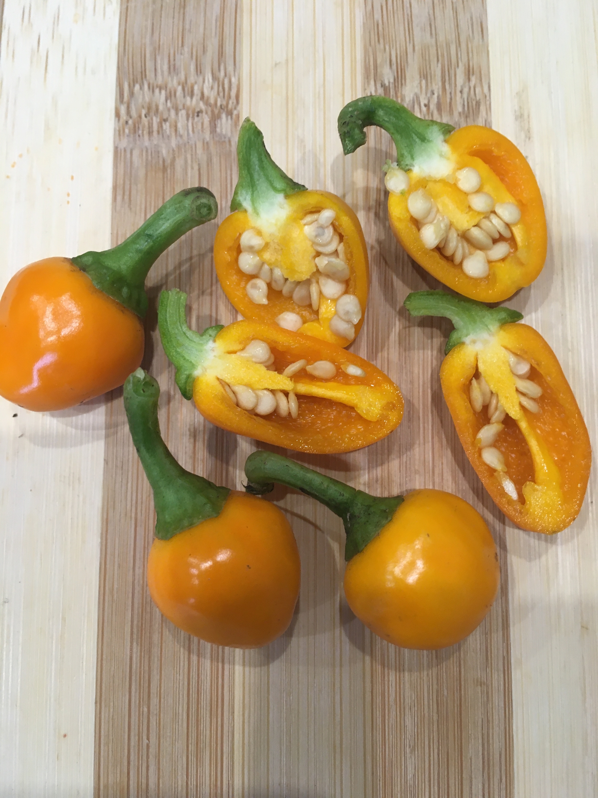 Сорт острого перца Orange Glow - фото 3