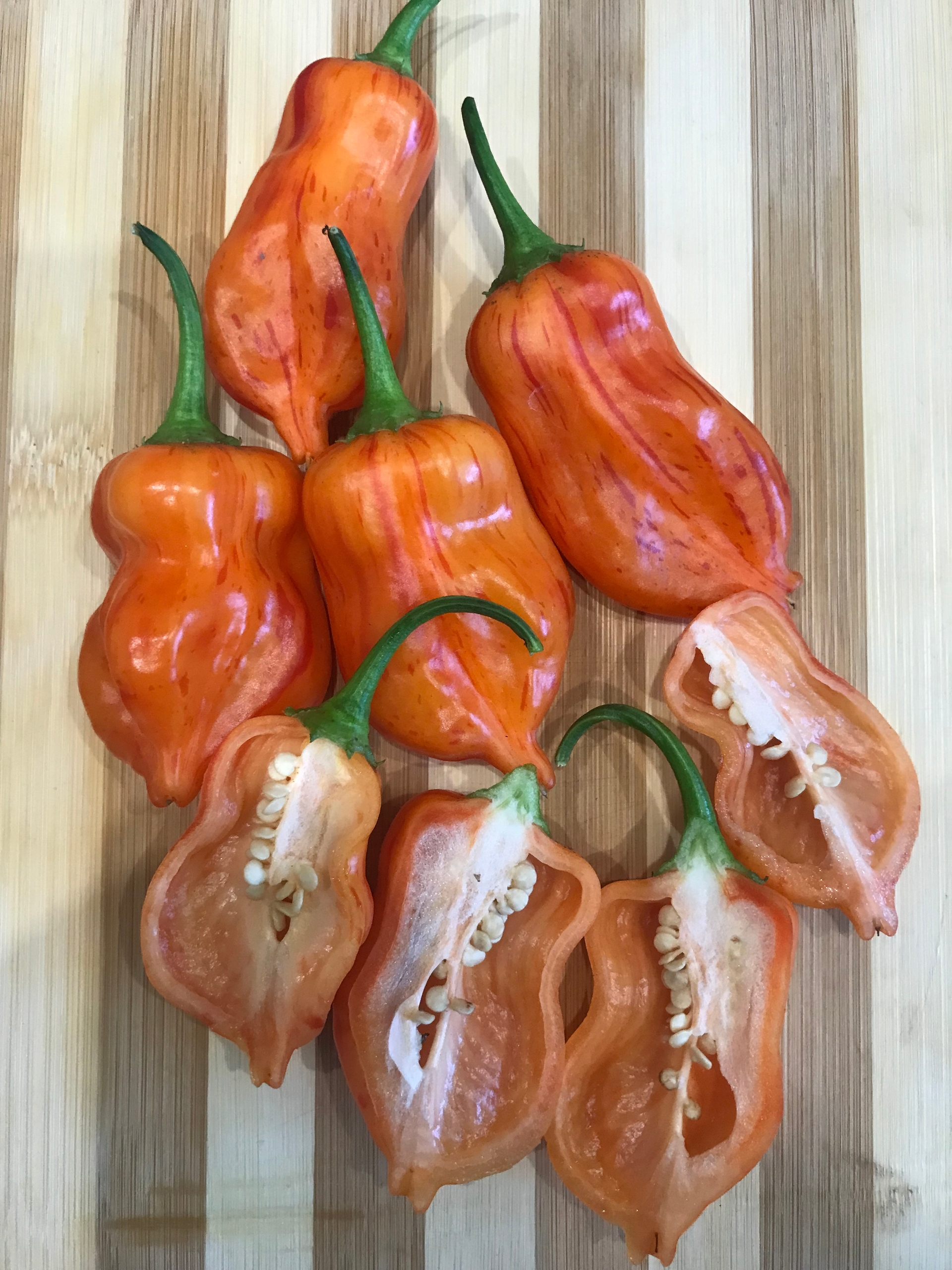 Плоды острого перца Zebrange - фото 4