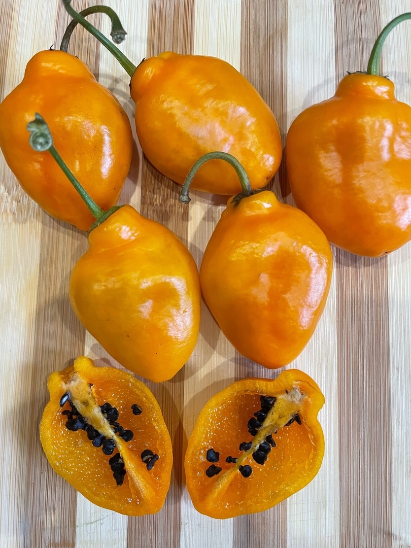 Плоды острого перца Rocoto Rio Hualaga Orange - фото 4