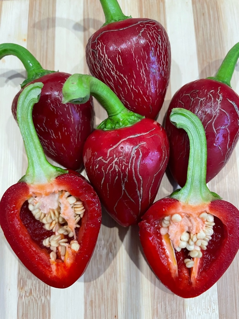 Семена острого перца Jalapeno Dieghito