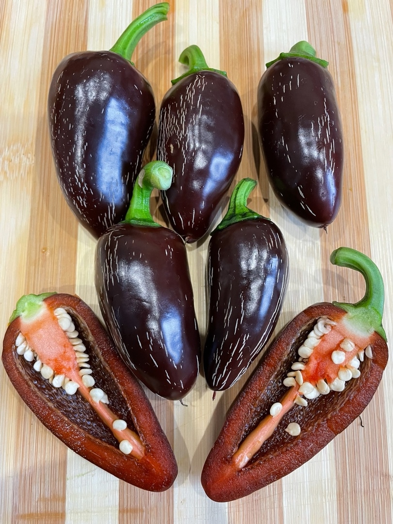 Семена острого перца Jalapeno Azabache