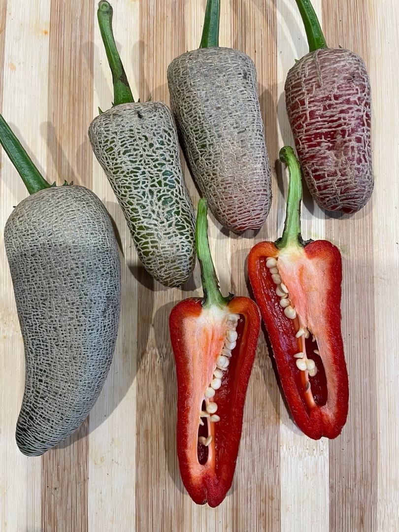 Семена острого перца Jalapeno Farmer's Market