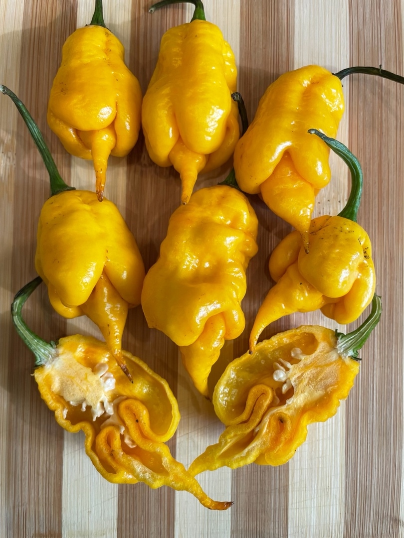 Семена острого перца Jay's Yellow Ghost Scorpion