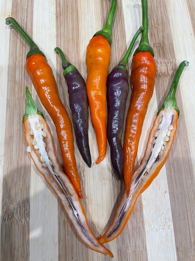 Семена острого перца Buena Mulata