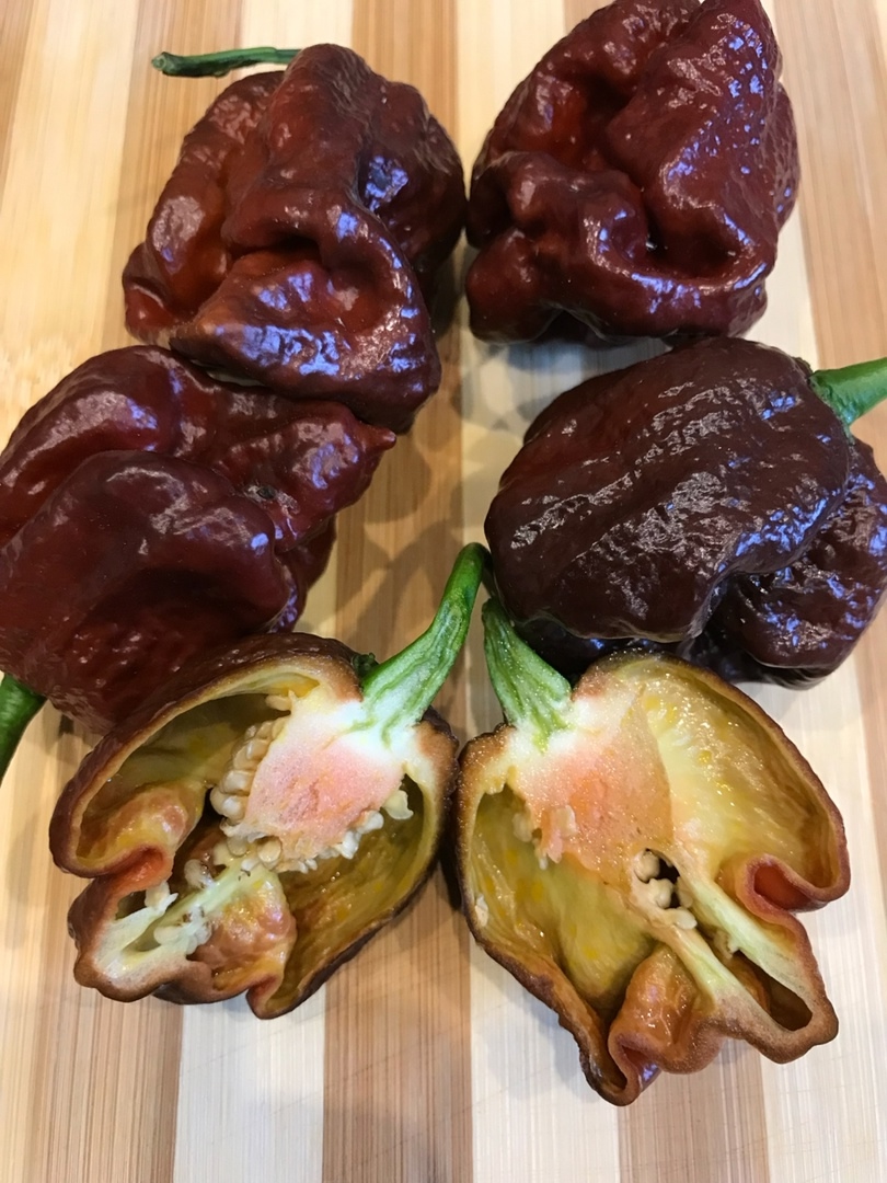 Семена острого перца Armageddon Chocolate