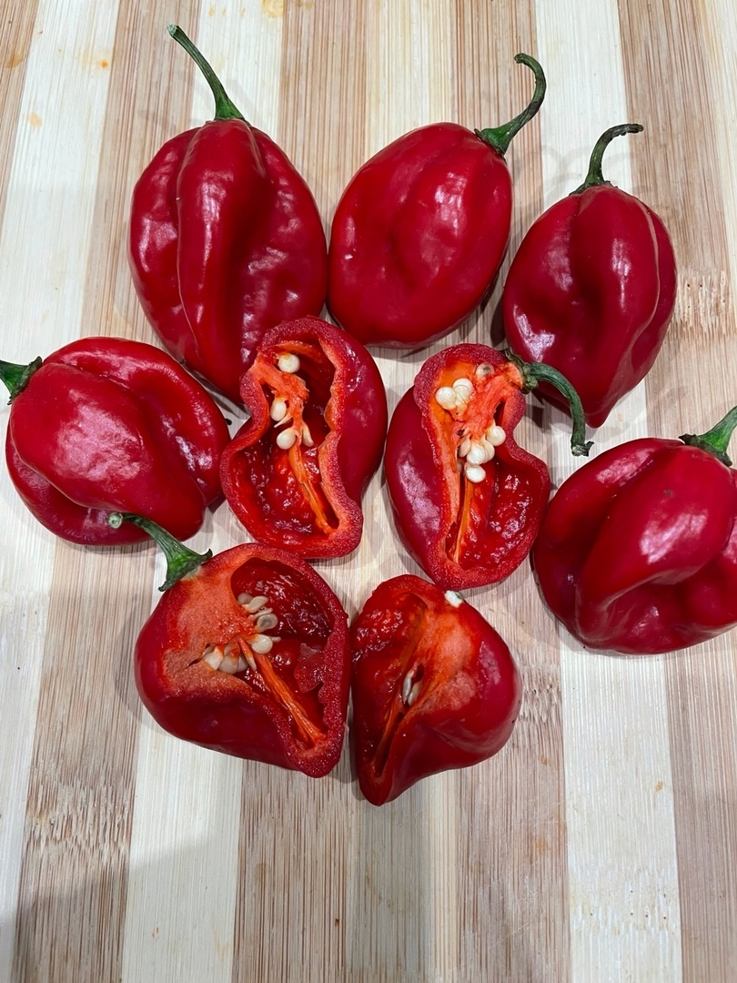 Плоды острого перца Habanero Red - фото 4