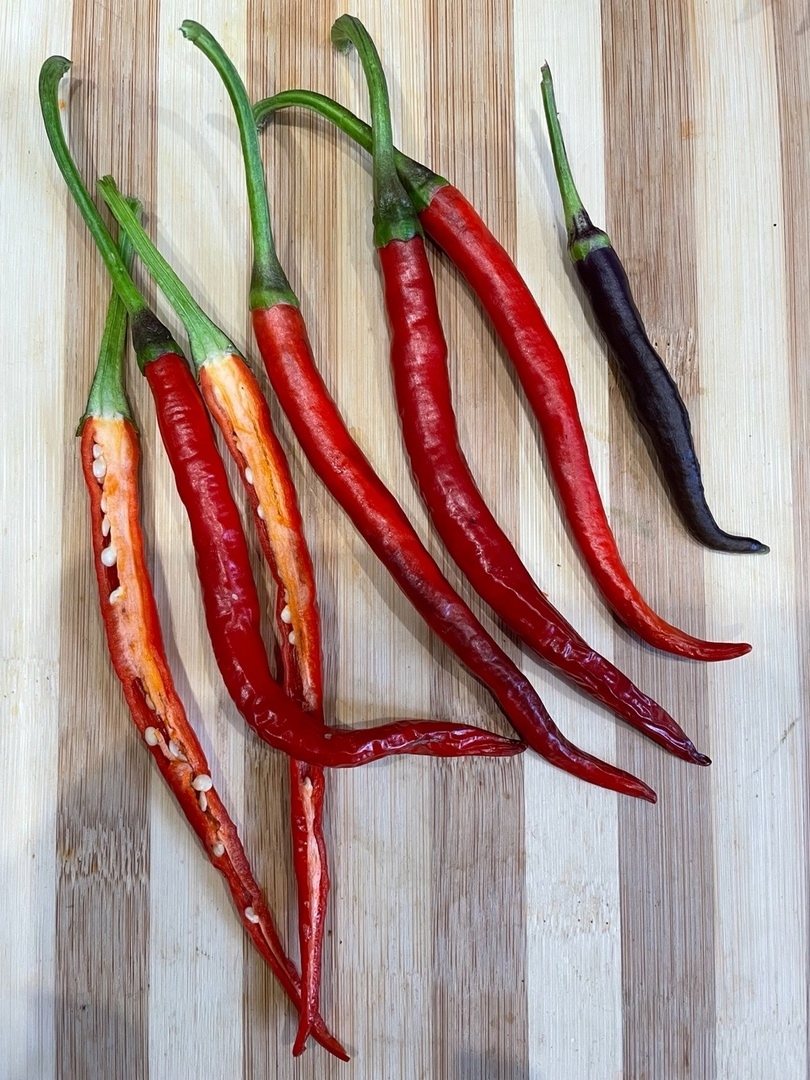 Сорт острого перца Transylvanian Slim Jim - фото 3