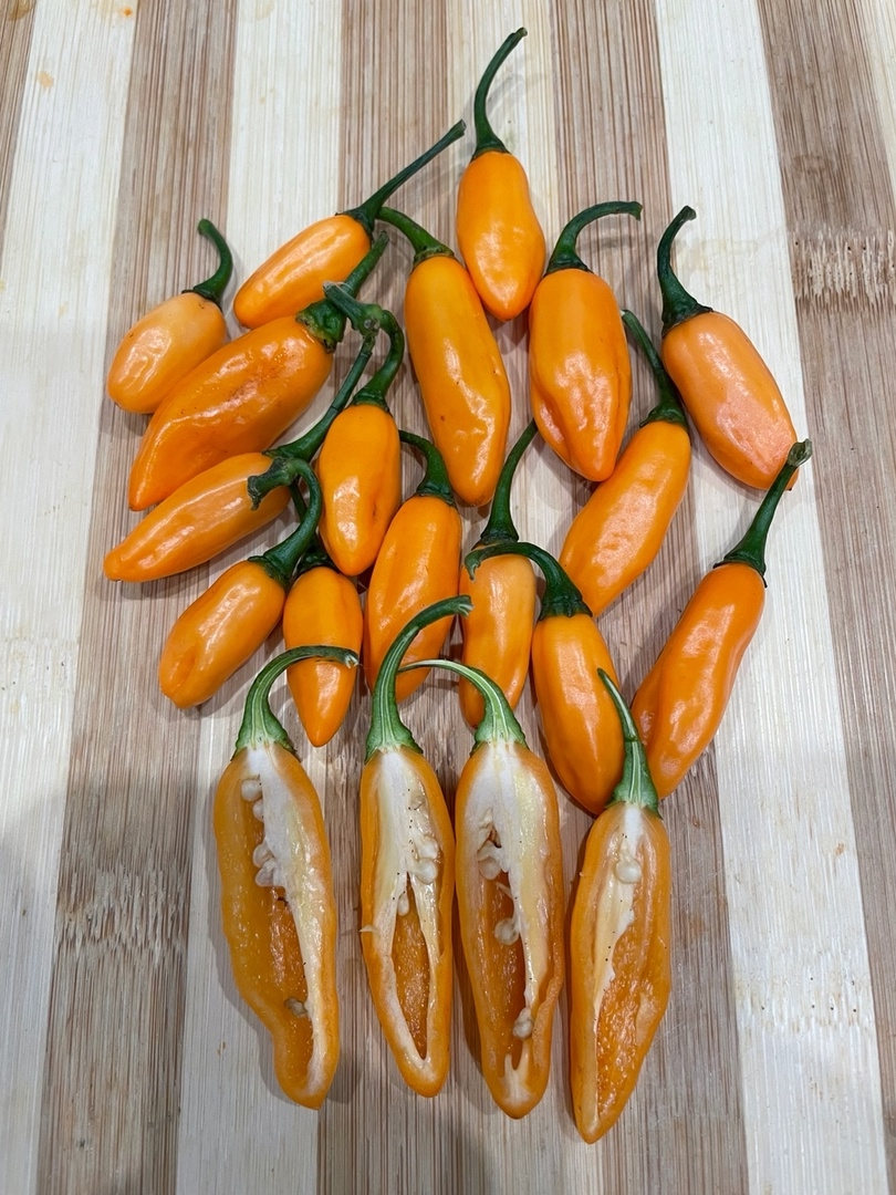 Плоды острого перца Mako Kokoo Peach - фото 4