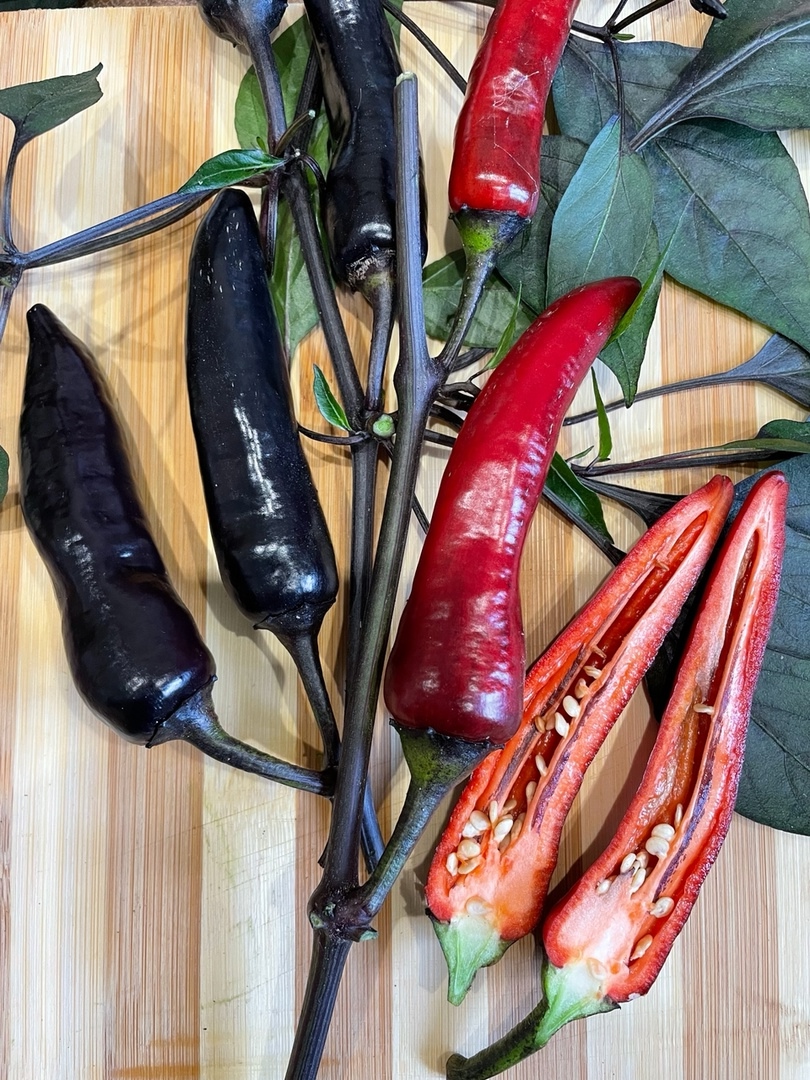 Семена острого перца Vampire