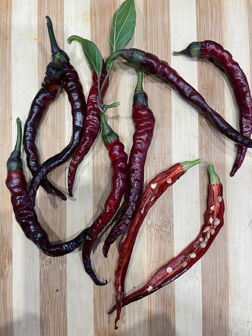 Что вырастает из семян острого перца Purple Thai Chili - фото 5