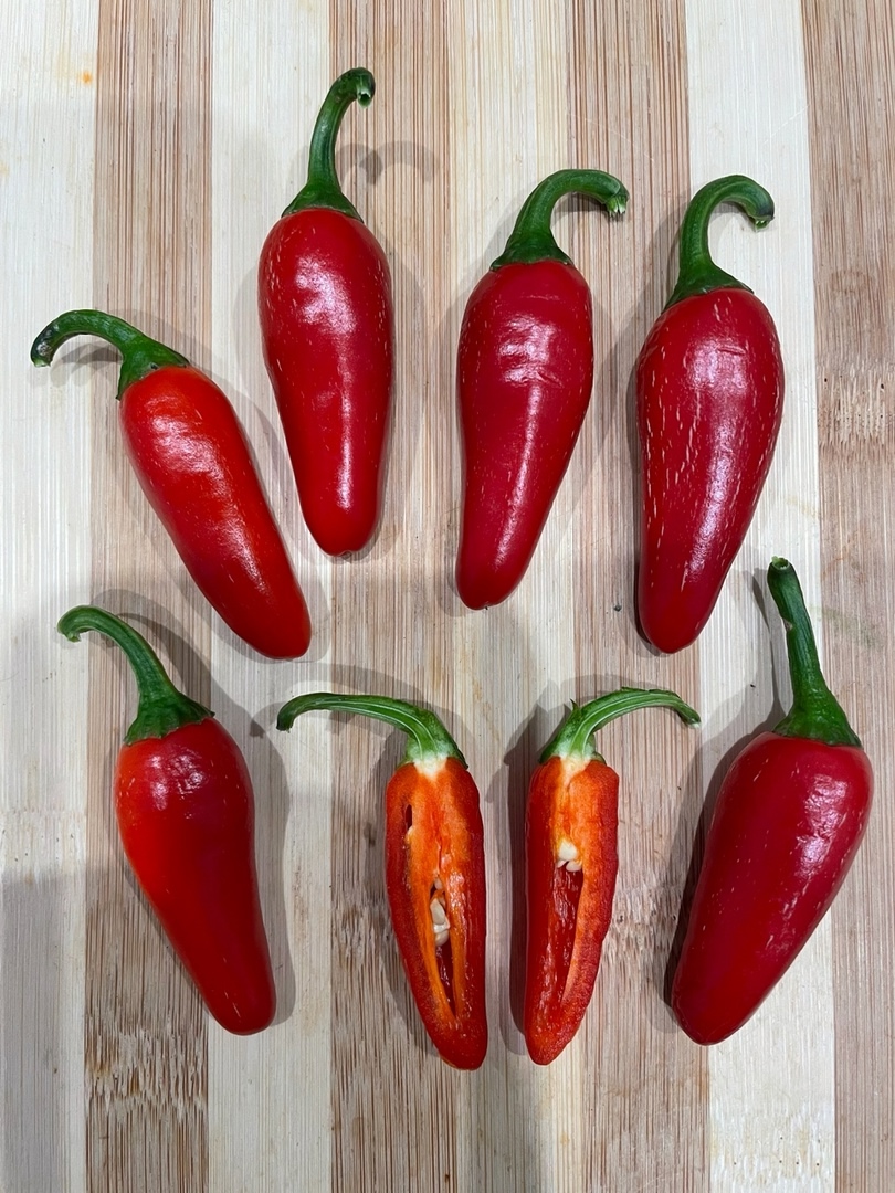 Сорт острого перца Jalapeno Mini - фото 3
