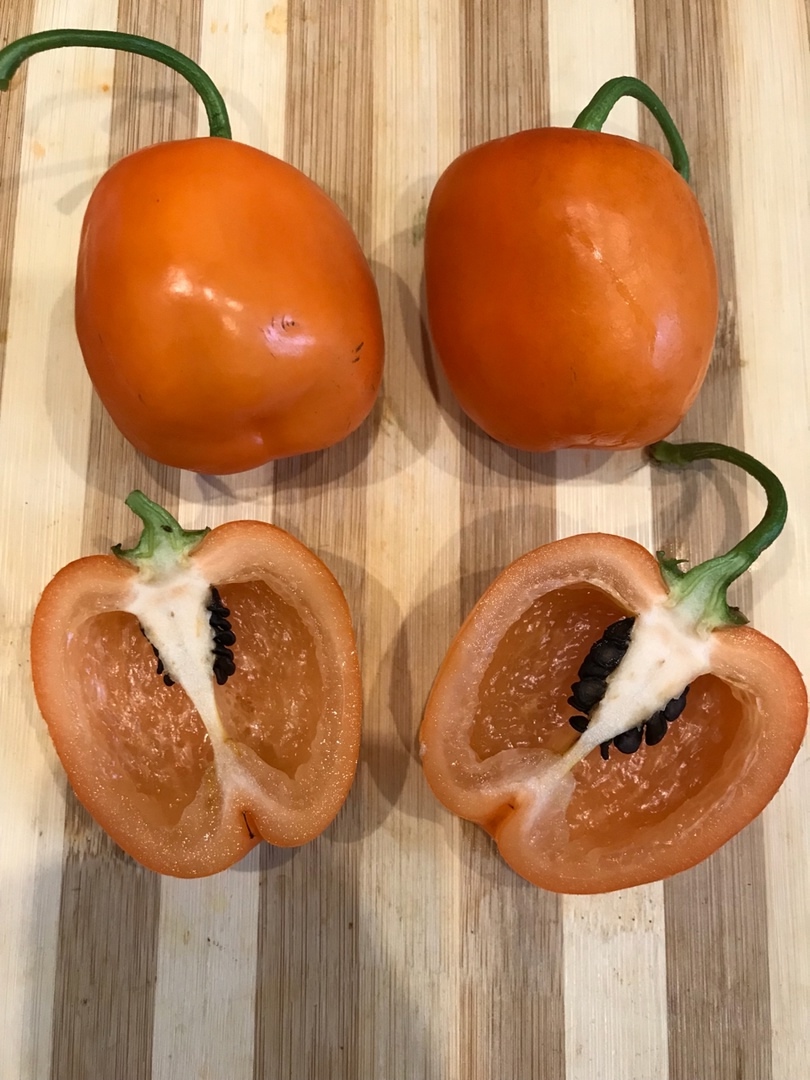 Сорт острого перца Rocoto Marlene - фото 3