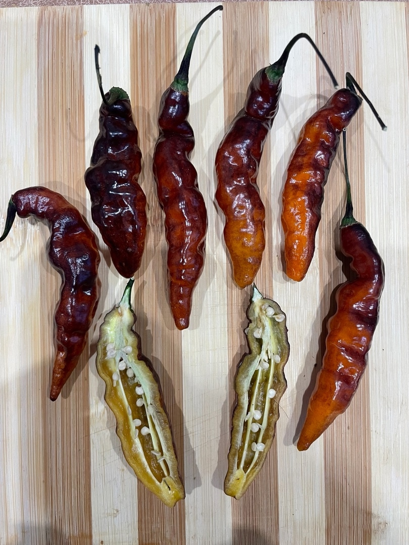 Семена острого перца Murupi Purple