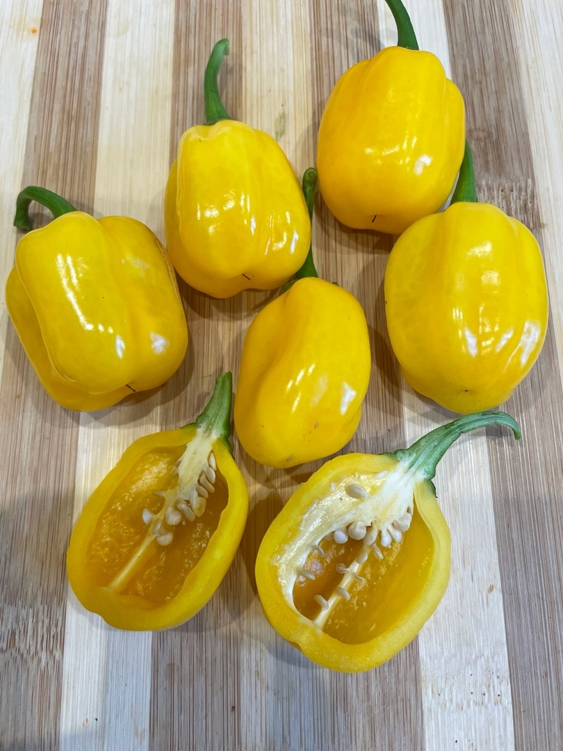 Сорт острого перца Habanero Orange Apple - фото 3