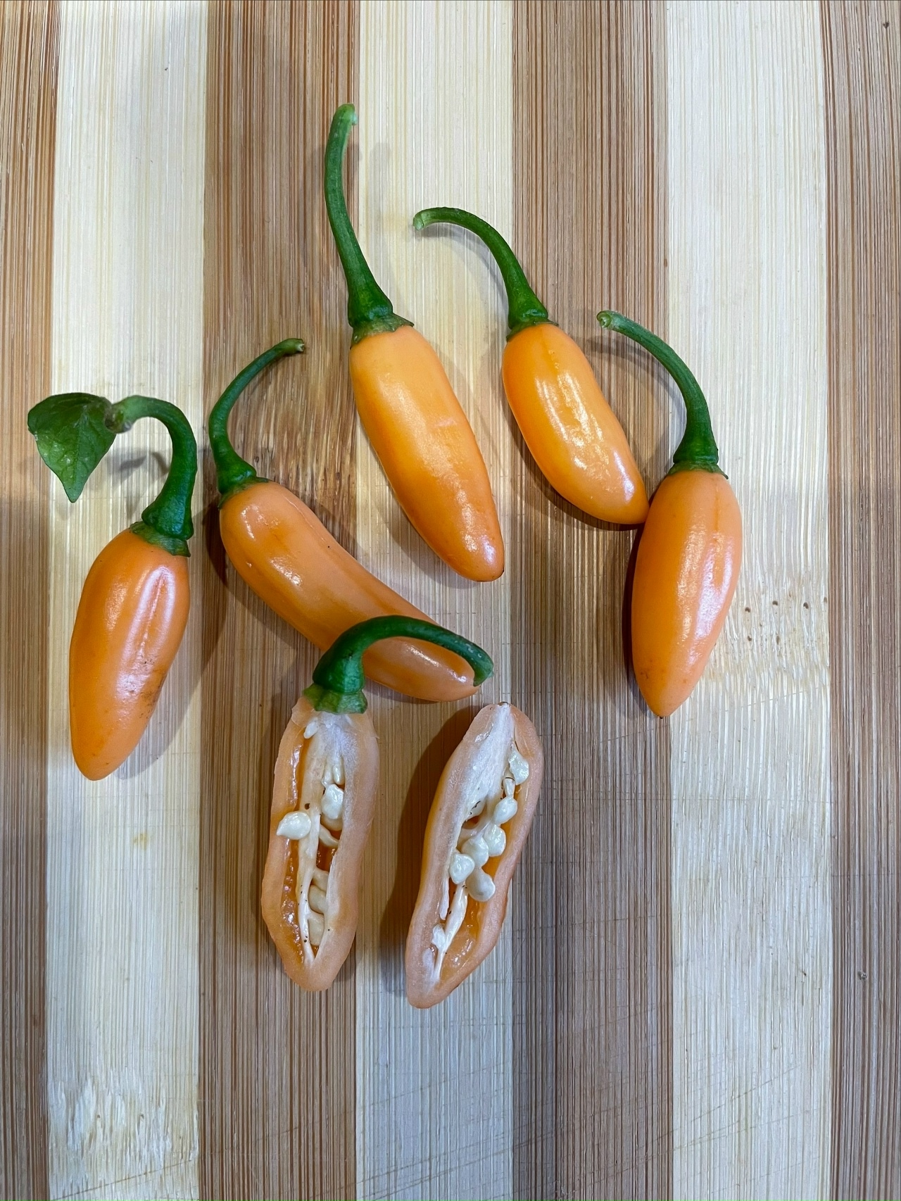 Сорт острого перца Coyote Zan Peach - фото 3