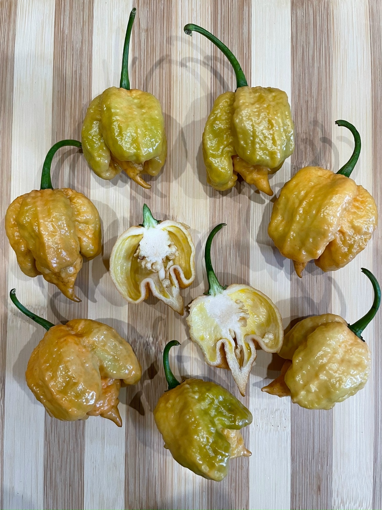 Плоды острого перца Carolina Reaper Gold - фото 4