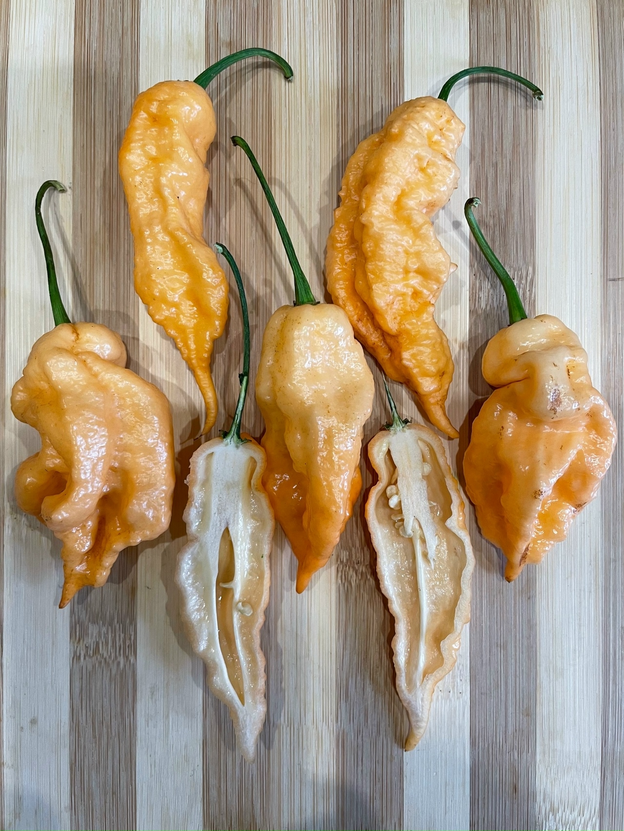 Сорт острого перца Jay's Peach Ghost Scorpion (JPGS) - фото 3