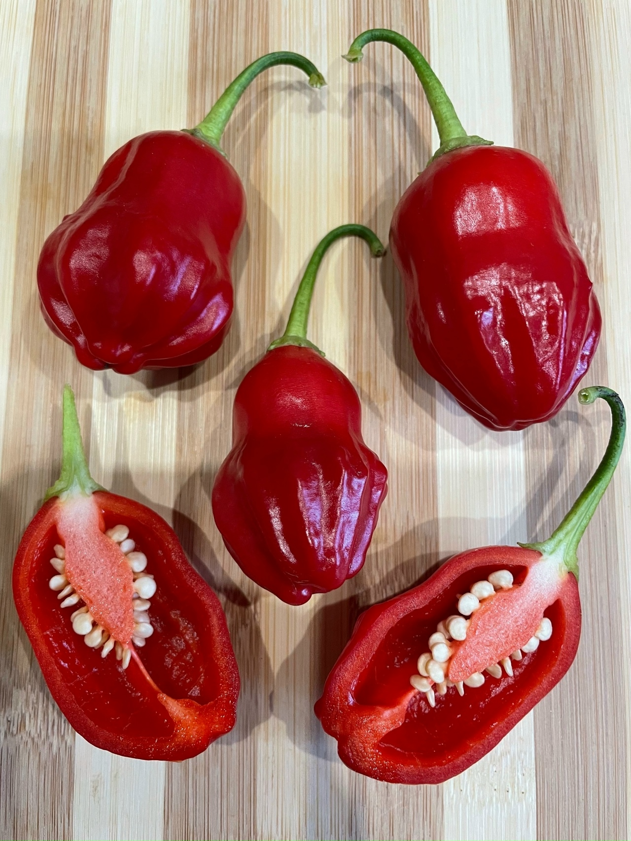 Плоды острого перца Rain Forest - фото 4