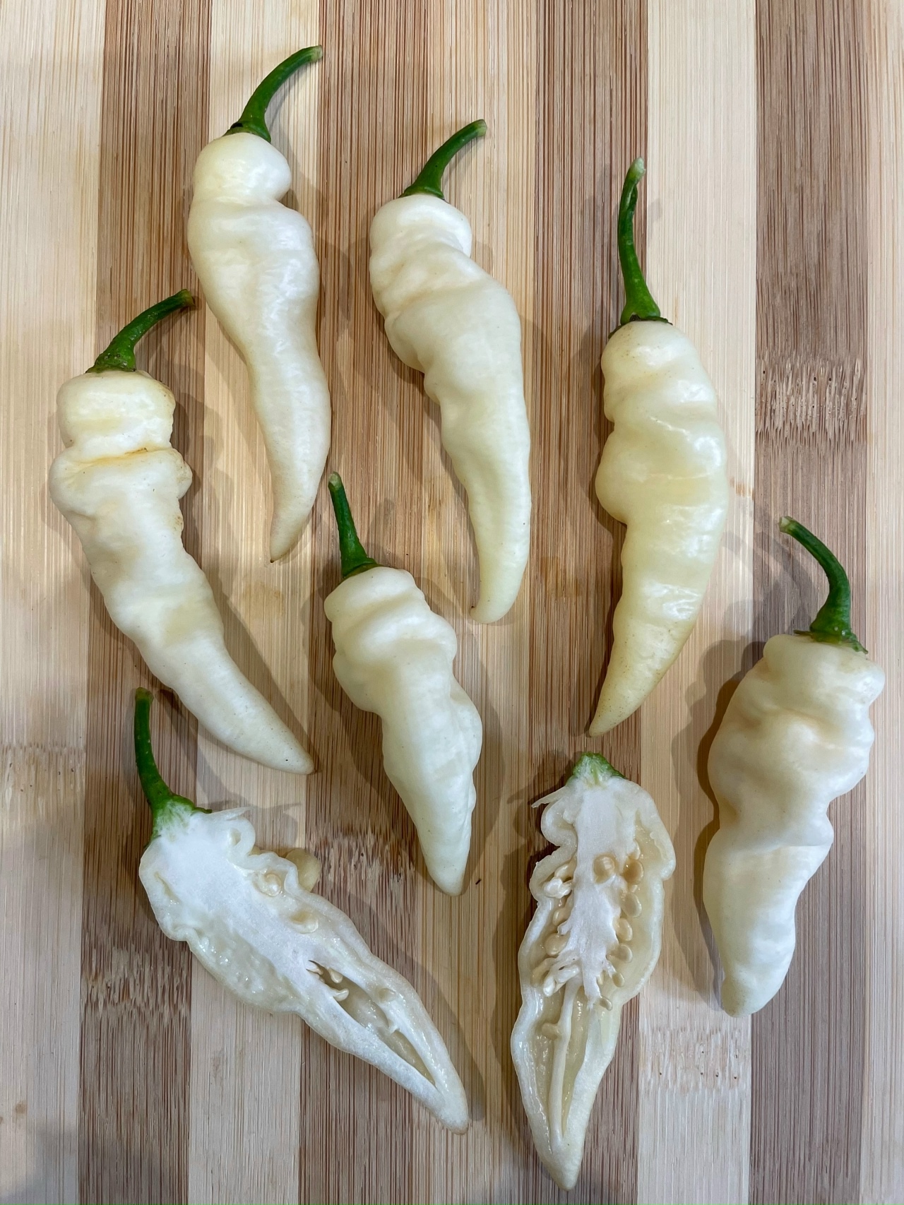 Что вырастает из семян острого перца Faddas White - фото 5