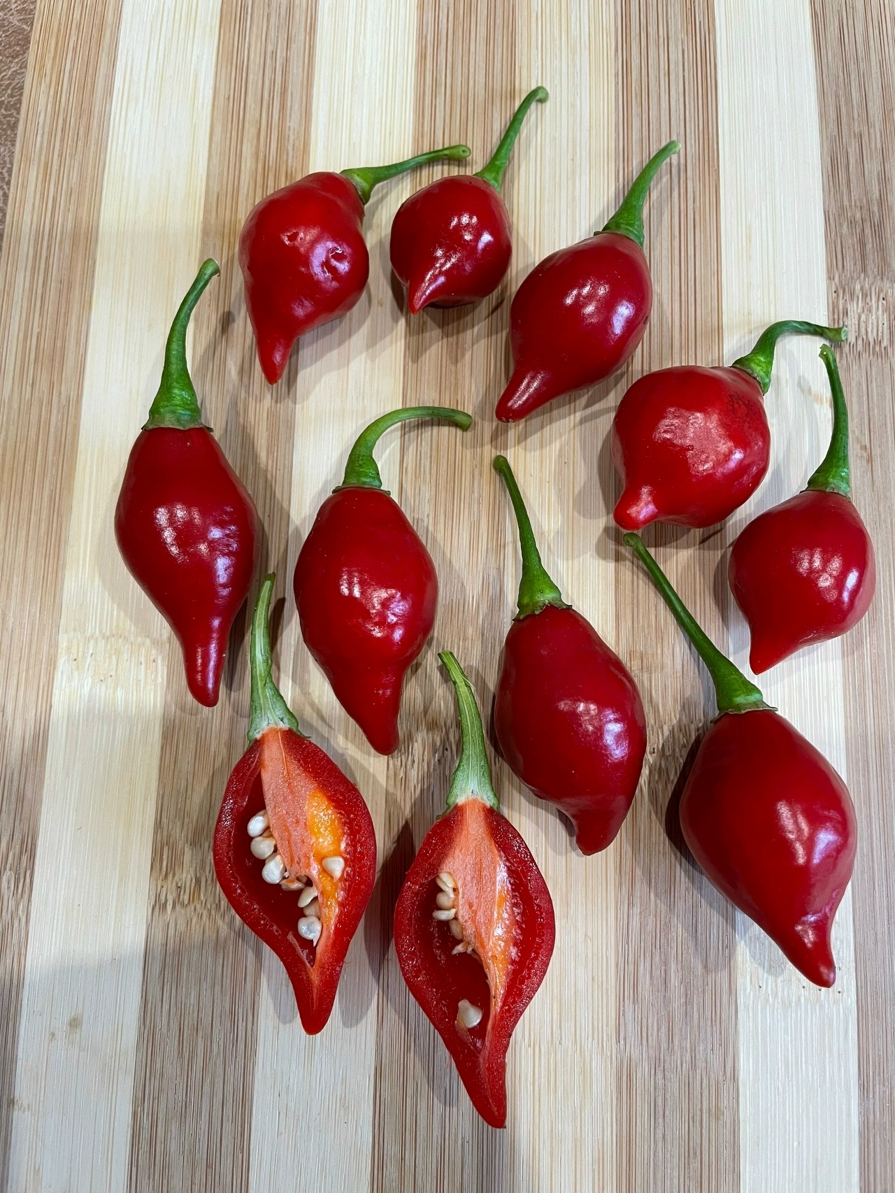 Что вырастает из семян острого перца Maria Bonita - фото 5