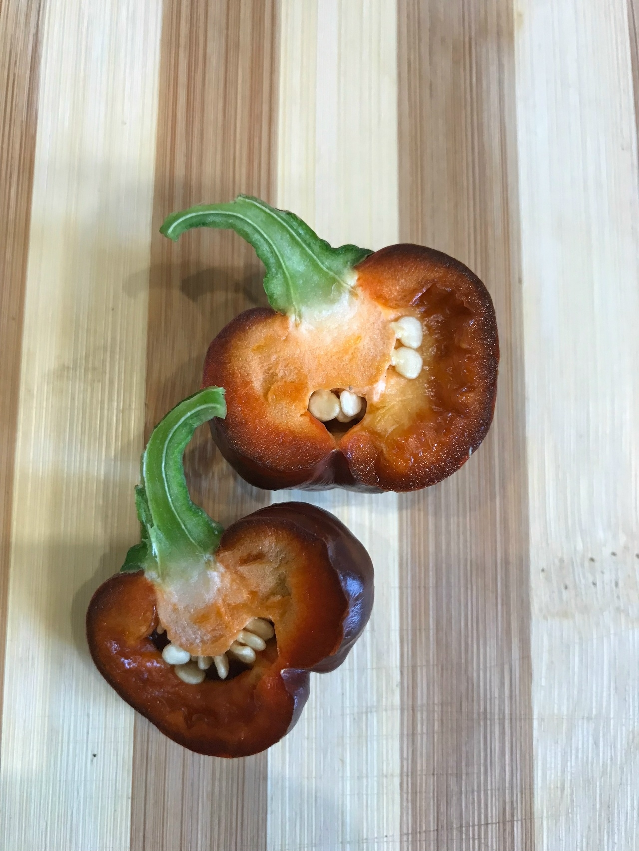 Плоды острого перца Madame Paraplu - фото 4