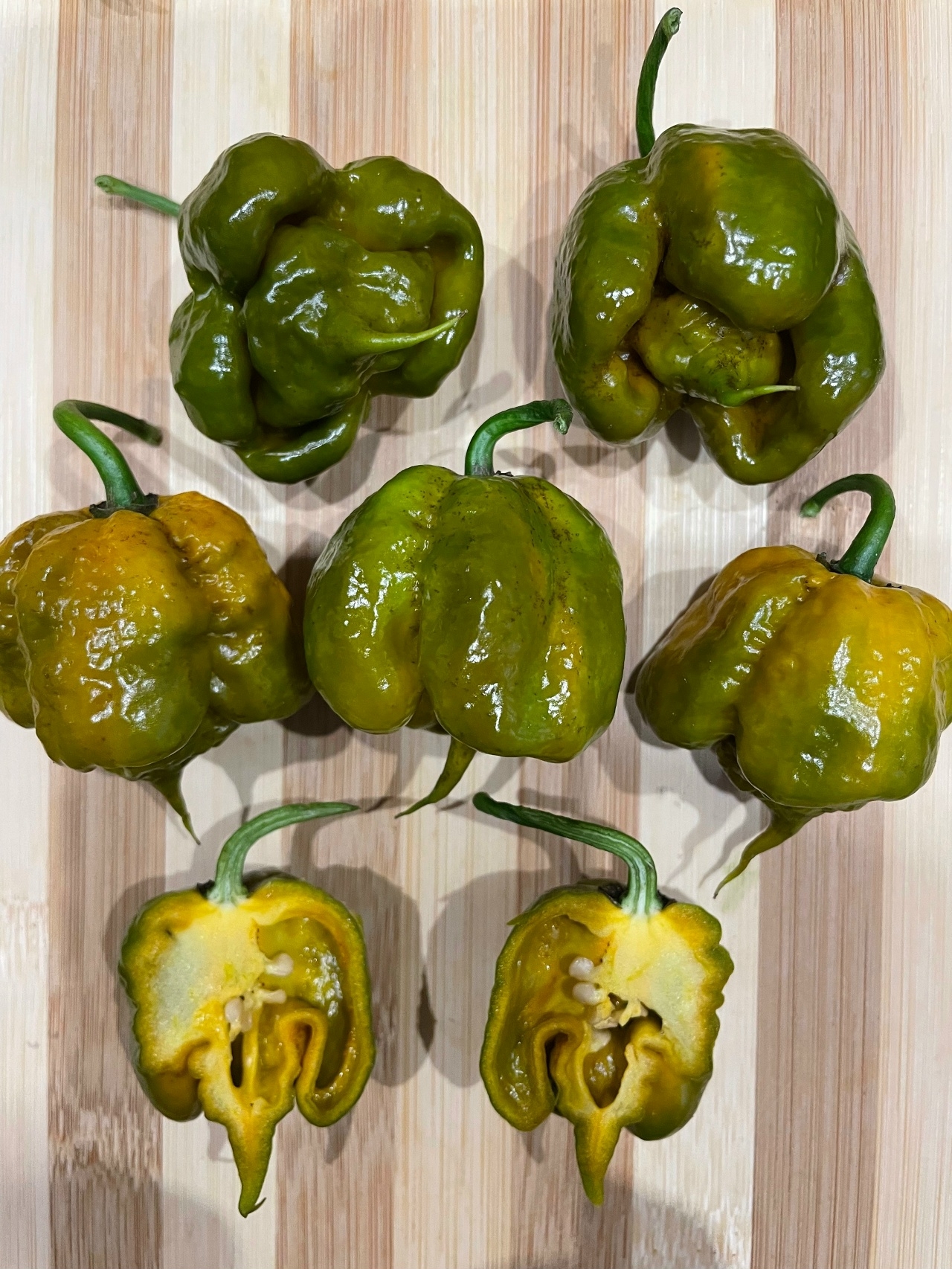 Плоды острого перца Carolina Reaper Mustard - фото 4