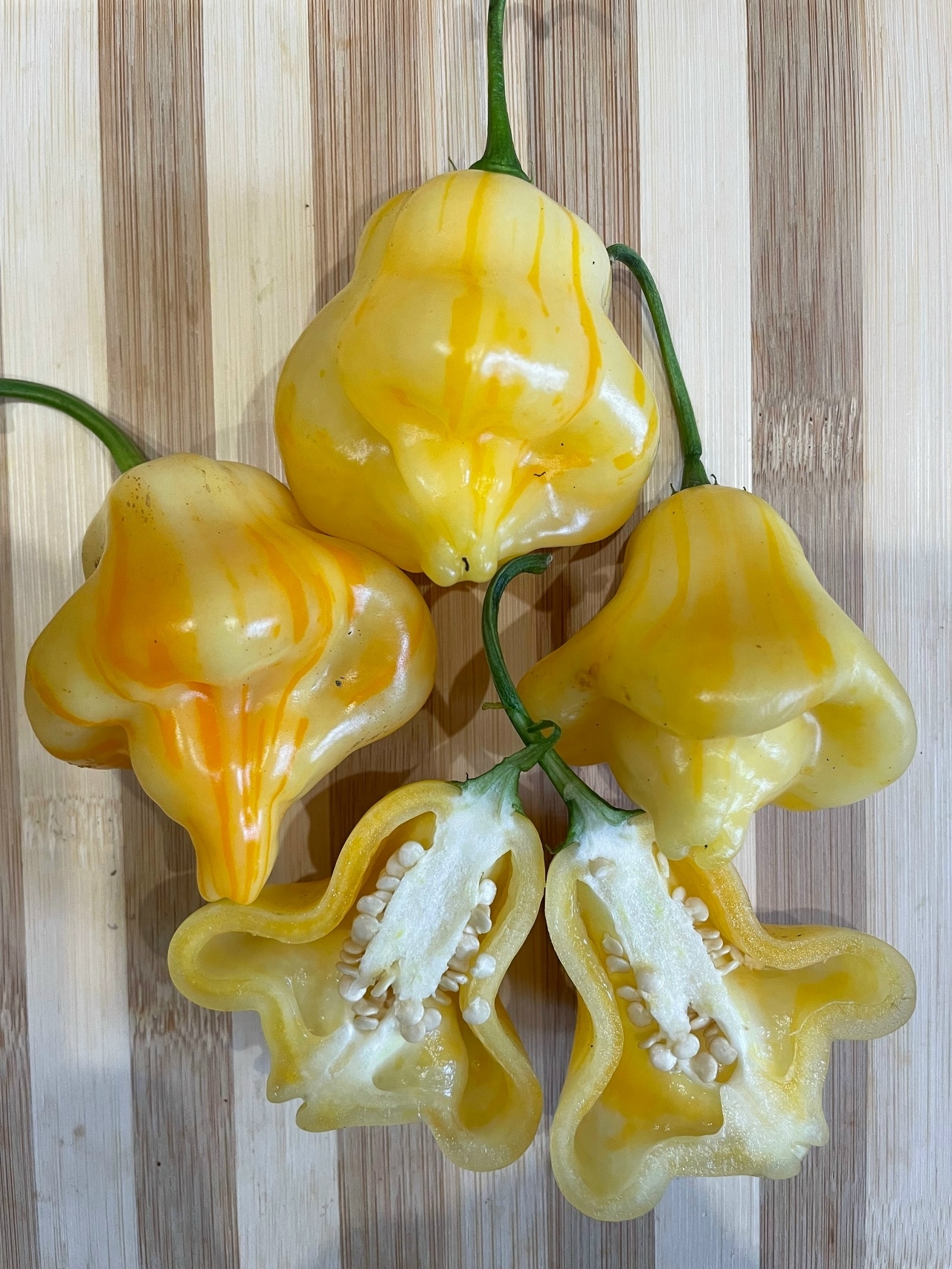 Сорт острого перца Aji Fantasy Stripey - фото 3