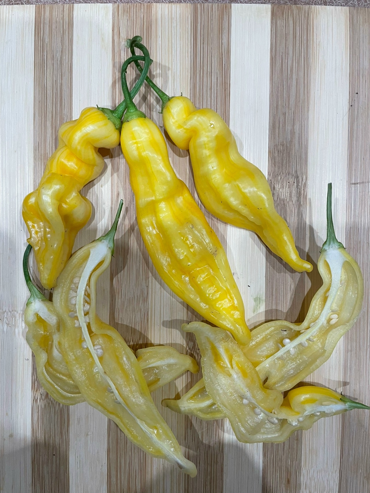 Семена острого перца Aji Monika